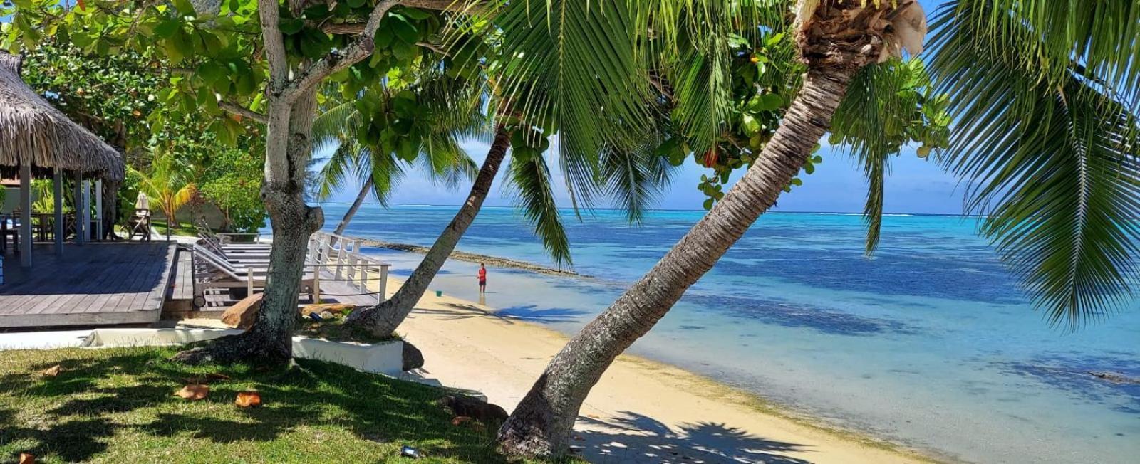 Moorea Island Beach Hotel Exterior photo